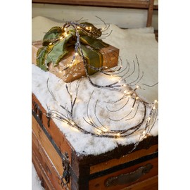 Raz Imports Lights 2023 42" Lighted Branch