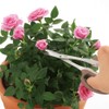 TAKAGI Stainless Steel Long Reach Bud Cutting Shears with Main
