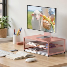 ECOLOVI Computer Monitor Stand Riser, Desk Organizers and Accessories, Printer & Laptop Stand, Office Desk Accessories & Desktop Workspace Organizers for Office Supplies (Rose Gold)