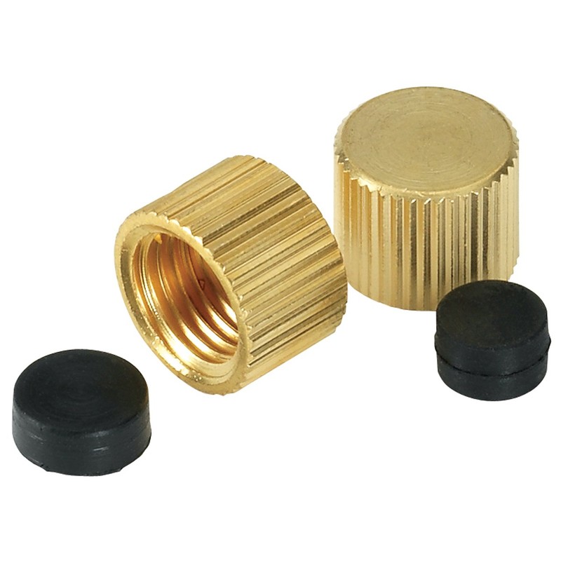 Homewerks VAC-CAP-W2B VACCAPW2B Waste Cap Replacement Part, 2-Pack, 5/16-Inch and