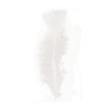 Youdoit 30 rooster feathers - white