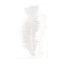 Youdoit 30 rooster feathers - white