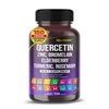 GUDOMET Quercetin Bromelain Zinc Vitamin D3 Elderberry Turmeric Rosemary Bilberry