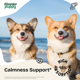 Calming Drops for Male Dogs - Liquid Ashwagandha for Dogs of All Breeds & Sizes - Composure & Relaxation Supplements for Male Pets - Herbal Alternative to Calming Chews for Dogs - Happy Pet Care 4 oz