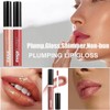 2pc Lip Plumping Gloss, Fine Glitter Pearl Lip Glaze, Long-Lasting