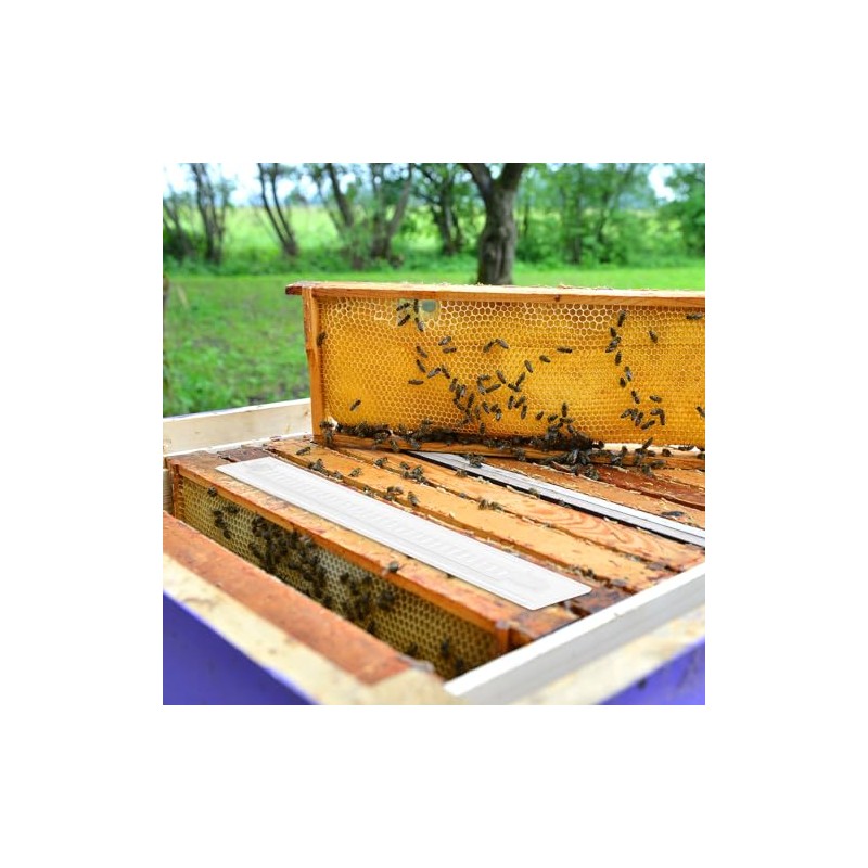 Qualirey 50 Packs Reusable Hive Beetle Trap, Plastic Blaster Beetle