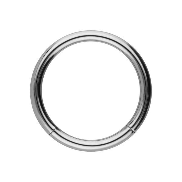 PIERCINGLINE Titanium Segment Ring | Silver | Piercing Ring Septum