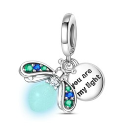 LONGLUCK 925 Sterling Silver Charms for Bracelets Necklaces Dangle Pendant With 5A Cubic Zirconias Bead Charm for Women DIY Jewelry