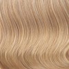 Hairuwear 22 Extra Straight Clip-In Extension by HairDo