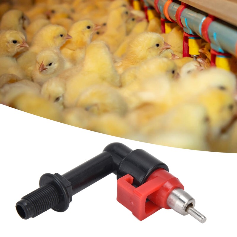 12Set G1/8 Male Thread Chicken Water Cup Automatic Switchable Chicken