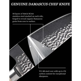 Jingseiho Damascus Chef Knife 8 Inch - VG-10 67-Layer Forged Steel, SGS Certified Razor-Sharp Edge and Long-lasting,Ergonomic Balance, Easy-Care Kitchen Gyuto Cutlery for Home Cooks