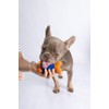 Dur Dog Bone Chew Toy For Small Dogs, Blue/Orange -