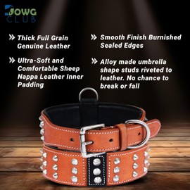 DowgClub Premium Leather Studded Collar for Large Dogs | Brazier Rivet | 2 Inch Wide Brown Dog Collar | Saddle Grade, Heavy Duty, Cushion Padding | (L (Fit Neck Size 18.5"-22.5"), Brown)