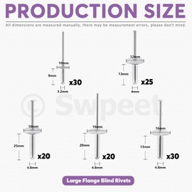 Swpeet 125Pcs 3/16" 1/8" 5/32" Large Flange Aluminum Blind Rivets Kit, Silver Pop Rivets Open End Type Pop Rivet for Indoor and Outdoor Use