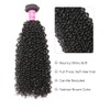 Extensiones de cabello humano rizado de Malasia, 1 paquete de