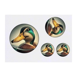 Azeeda 4 x 'Lächelnde Stockente' Temporäre Tattoos - Wasserfest, Hautfreundlich & Ungiftig · Transfers in Verschiedenen Größen (TO00081804)