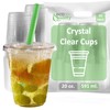 Clear Plastic Disposable Cups with Lids and Smoothie Straws 50
