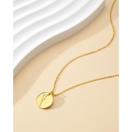 14K Gold Zodiac Necklace for Women, 925 Sterling Silver Constellation Star Coin Disc Connected Engraved Horoscope Sign Astrology Pendant, Celestial Jewelry Birthday Mother's Day Gifts for Her Mom Girlfrined