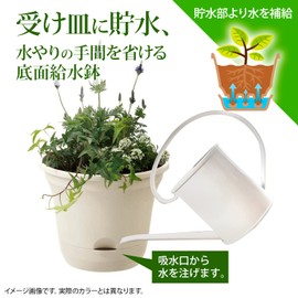 Richell 701013 Uruo Pot 25 Type N Beige, Made in Japan, Soil Capacity: 1.6 gal (4.4 L), Water Capacity 0.2 gal (0.8 L)
