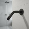 Brazo Y Chapeton Para Regadera 15cm Acero Inox Negro Rugo