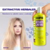 Nefertiti Shampoo y Aondicionador Nefertiti Cabello Seco O Dañado Extracto