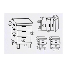 Azeeda 4 x 'Bienenstock' Temporäre Tattoos - Wasserfest, Hautfreundlich & Ungiftig · Transfers in Verschiedenen Größen (TO00082506)