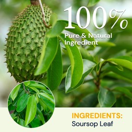Soursop Leaf Herbal Tea (Graviola) - Caffeine & Sugar Free, 40 Teabags