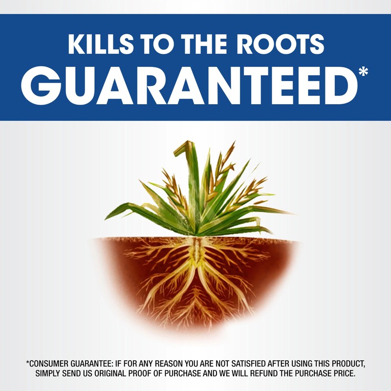Roundup Weed and Grass Killer₄ Concentrate, Use Around Flower Beds