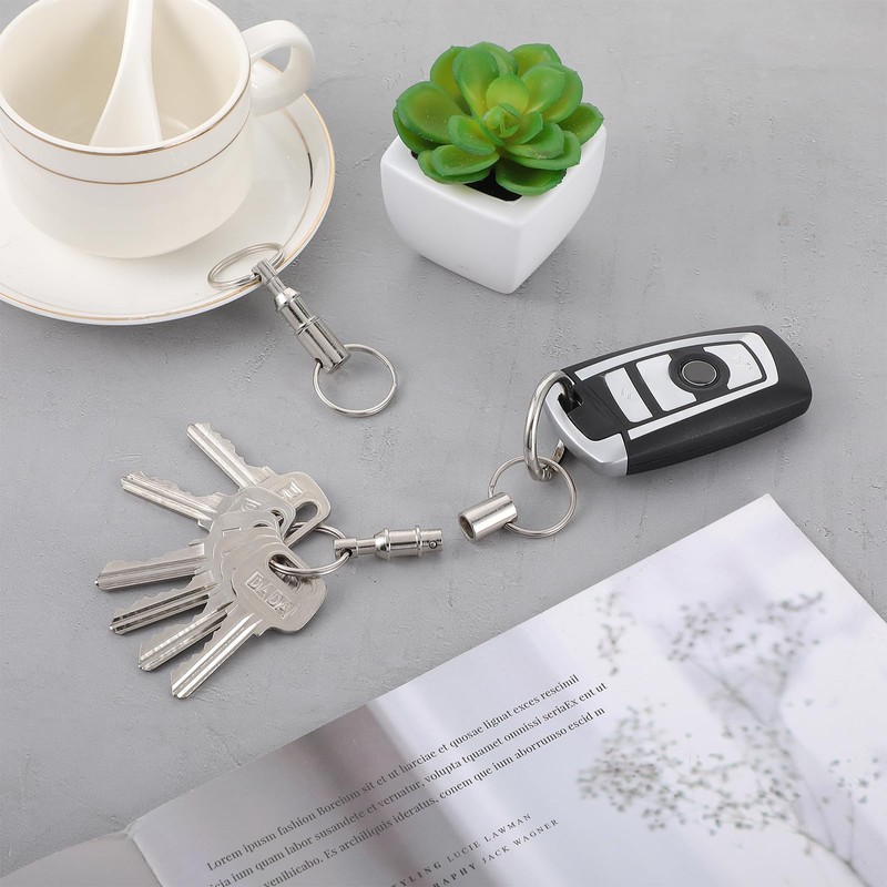 Aeaocvo 10 PCS Detachable Key Ring Quick Release Keychain, Heavy