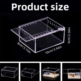 Small Transparent Acrylic Reptile Box with 360 Degree Full View Magnetic Acrylic Shell for arboreal Tarantulas, Tarantulas, Hanging Snakes, Jumping Spiders, Snails, Insects Isopods