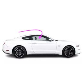 BAG Fits: 2015-2024 Ford Mustang 2D Coupe Passenger Front Right Door Window Glass