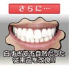 teeth makeup dental pearl pure white