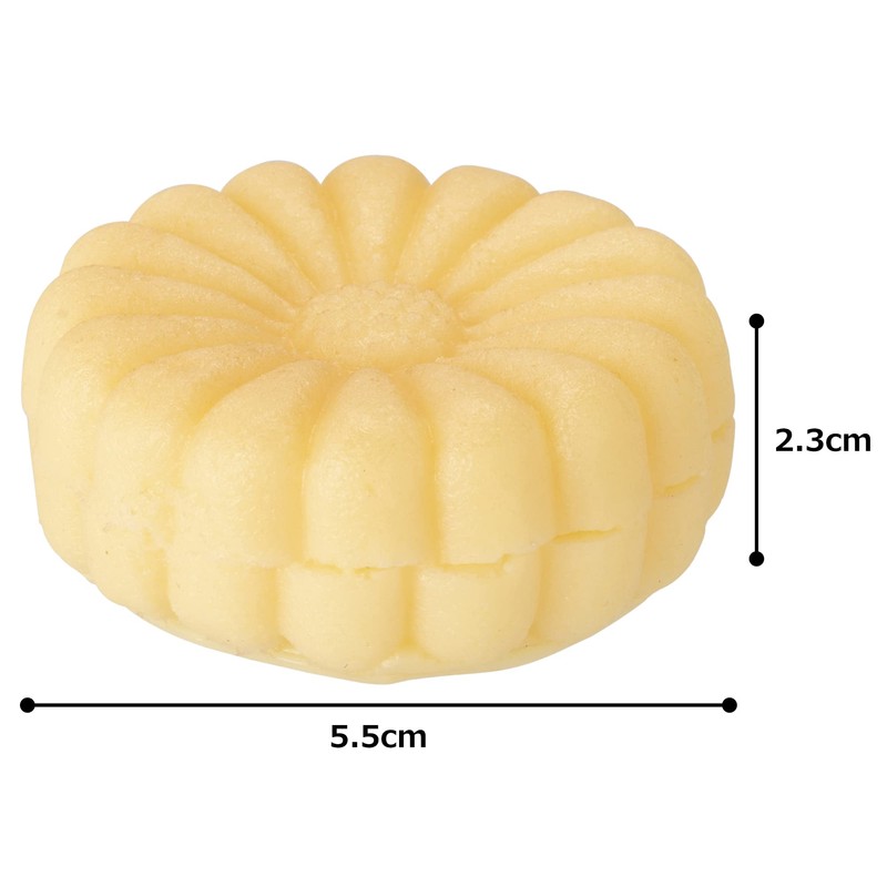 Wilmer 商事 Offerings Candy Chrysanthemum Even in