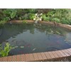 Blagdon 1022385 Clearview Pond Cover Net, Strong Double Weave, Black,