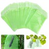 YOUNLEN Grape Protection Bags, Pack of 50 Grape Protective Bags,