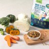 Bugs Dog Vegan Formula 1.2kg + Samples (30g x 2ea)