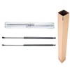 A-Premium Front Hood Lift Supports Shock Struts Compatible with Lexus