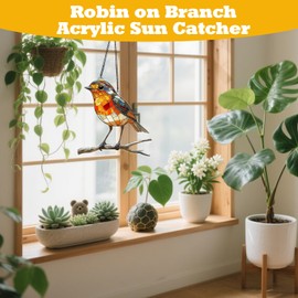 Robin on Branch Acrylic Sun Catcher Large Garden Ornament, Suncatchers for Windows and Outdoors, Window Decorations, Decorative Robin Ornaments for Garden and Home 20x20cm(7.9 x 7.9in)