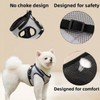 Dog Harness and Lead Set, Adjustable Cat Harness Reflective Small