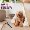JASON Dog Grooming Scissors Kit, Professional 6 in 1 Dog