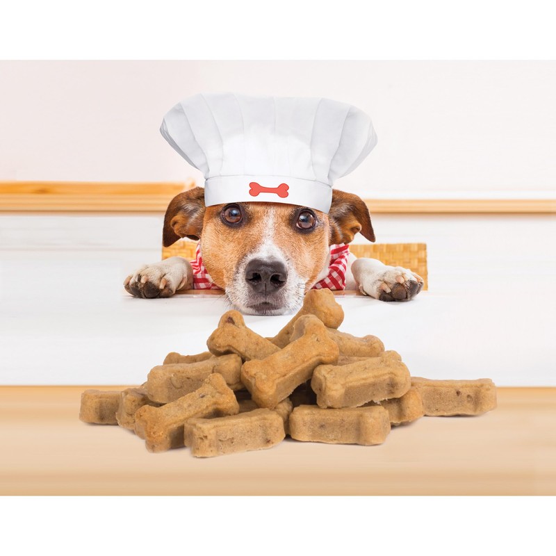 Mrs. Anderson's Baking Silicone Dog Biscuit Pan, Non-Stick European-Grade Silicone