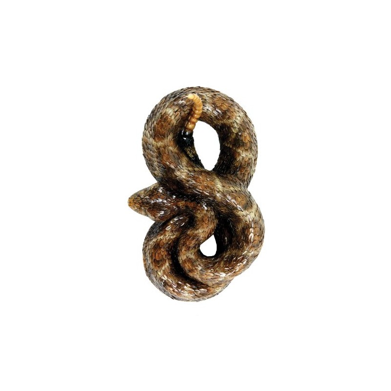 Western Diamondback Rattlesnake S by Michael Carr Designs - Outdoor