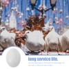 10pcs Plastic Eggs Simulated Bird Eggs Parrot Cockatiel Eggs Bird