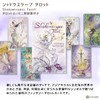 Shadowscape Tarot Shadowscapes Tarot Divination with Japanese Manual (English Language