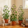 Honeycomb Plant Trellis for Climbing Vines – 2- or 4-Piece