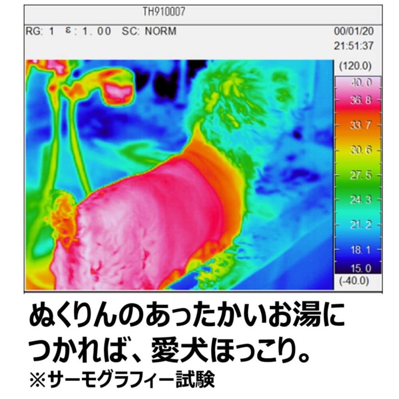 Earth Pet Bath Clean, For Dogs, Carbonated Bath Salt, Forest