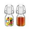 eispap 2Pcs Swing Top Small Glass Bottles 2 oz With