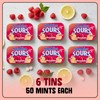 Sunkist Sours Raspberry Lemonade Candy | Sugar Free, Natural Fruit