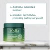 ALODIA Deep Conditioning Masque, 12 oz - Nourish & Hydrate