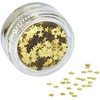 Stargazer Cosmetic Glitter Stars for use on the face -